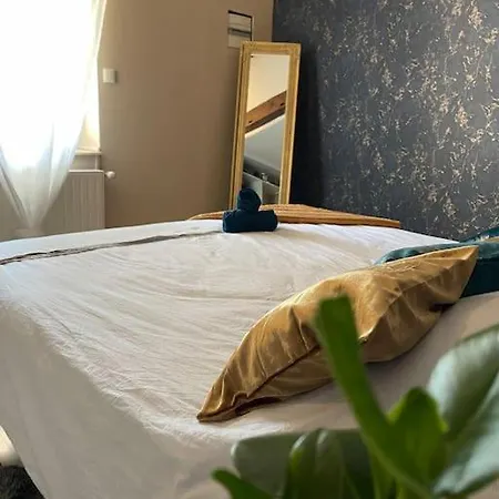 Appartement De Charme 80m2 Givors